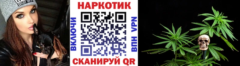Галлюциногенные грибы Иланский