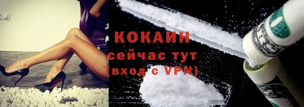 сатива Покачи
